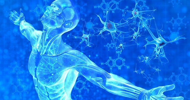 Liệu pháp Y học tái sinh được đánh giá là "phương pháp điều trị trong mơ" khi mở ra một hy vọng mới trong việc điều trị các loại bệnh truyền thống